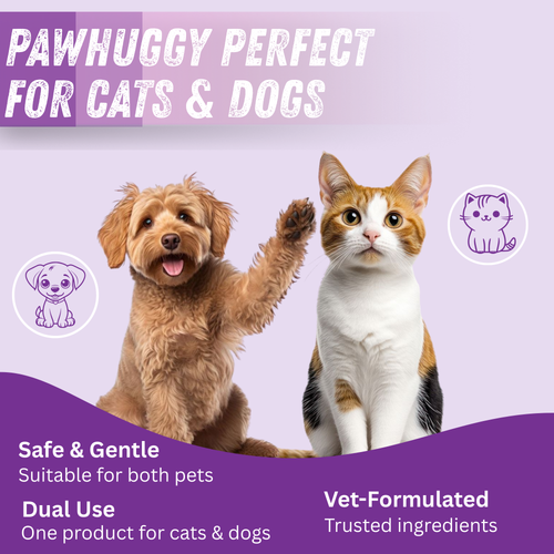 Pawhuggy Pet Dental Finger Wipes — 100 Wipes · Fresh Breath & Plaque Control