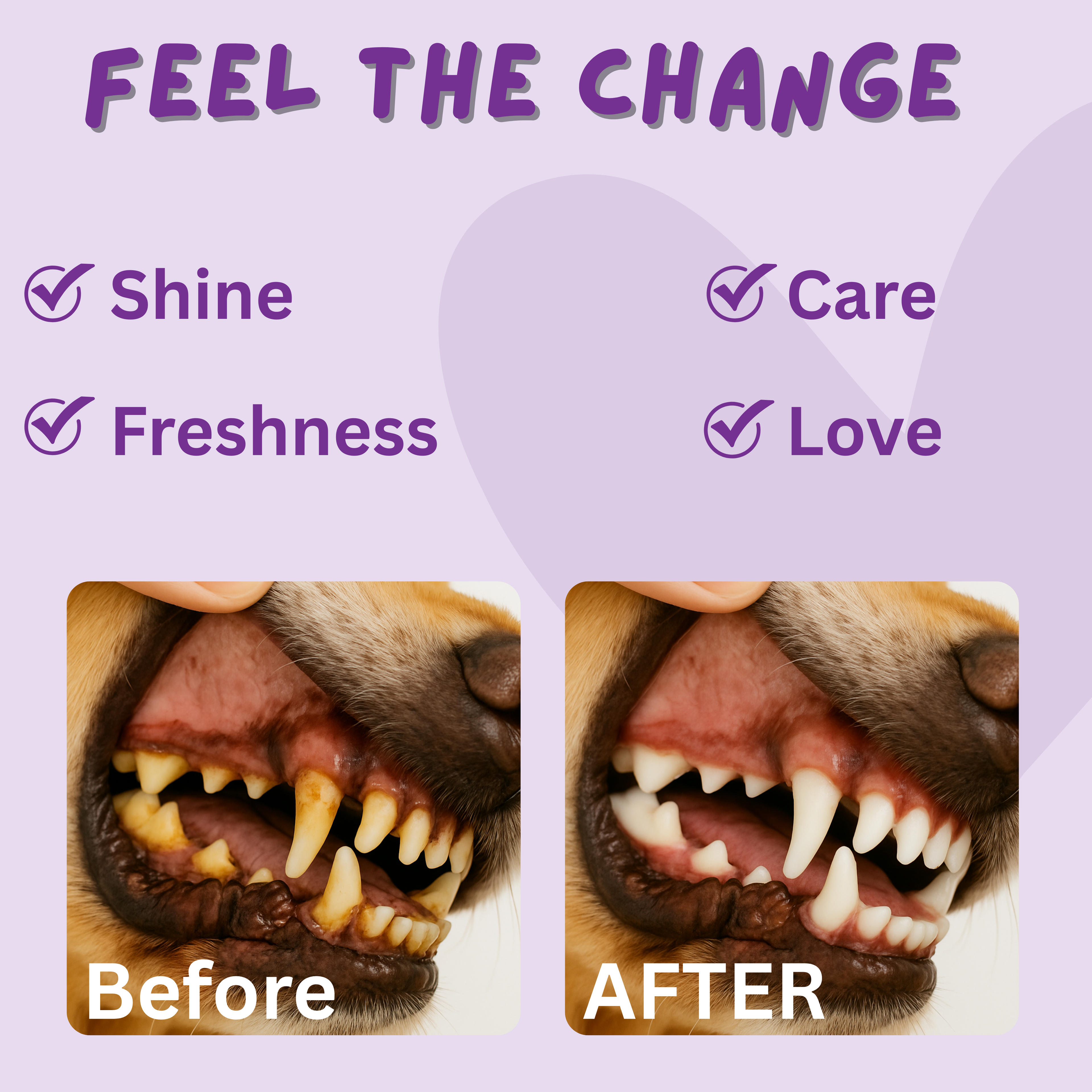 Pawhuggy Pet Dental Finger Wipes — 100 Wipes · Fresh Breath & Plaque Control